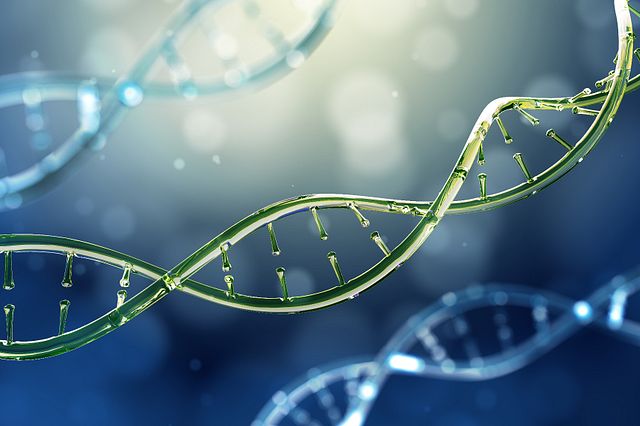 Molecular Cloning